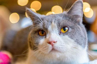 《消逝的光芒：困兽》优化佳 玩家调侃：可别让兰迪看见